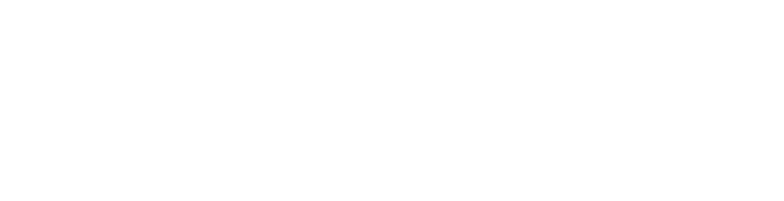 Logomarca Símula - Soluções Ótimas